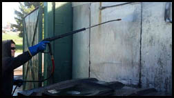 Dumpster Cleaning